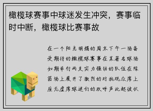 橄榄球赛事中球迷发生冲突，赛事临时中断，橄榄球比赛事故